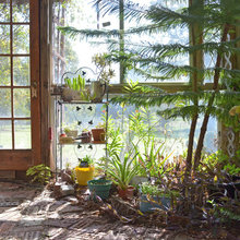 Greenhouse from Salvaged Windows