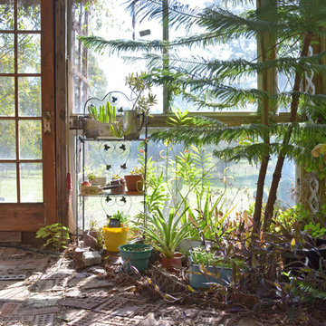 Recycled Greenhouse in Piny Woods of Texas