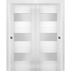 Sliding Closet Glass Bypass Doors / Sete 6003 White Silk / Rails, 60" X 80" ( 2* 30x80)