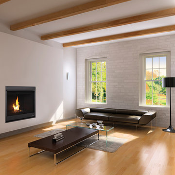 DRC2000 - Contemporary Gas Fireplaces by Superior