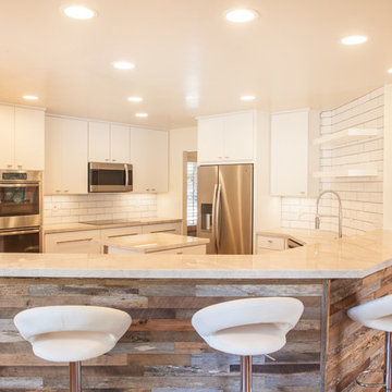 Mid Century Modern Kitchen