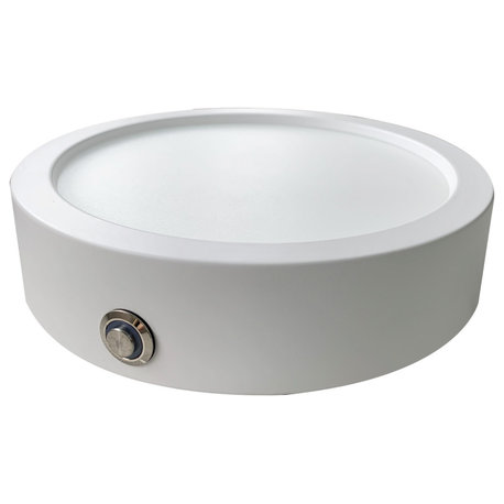 Palomino LED Flush Mount, White