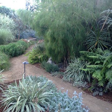 Mystical Habitat Garden