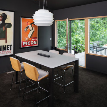 Minneapolis Mid Century Modern