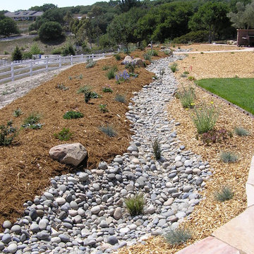 Natural Drainage