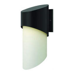 Hinkley - Hinkley Outdoor Solo Large Wall Mount 2065SK-GU24 - Outdoor Wall Lights And Sconces