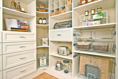 Photo of a traditional kitchen pantry in Other.