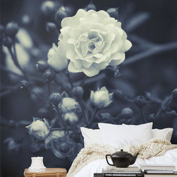 Mr Perswall Wallpapers - Wallpaper