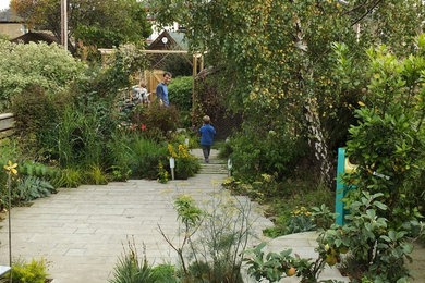 Photo of a contemporary garden.