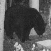 Dick Schalkさんの写真