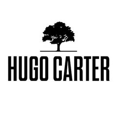 Hugo Carter - Silent Windows