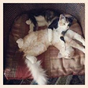 Lizy Johnsen's photo