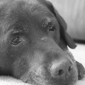 Jackie Veit's photo