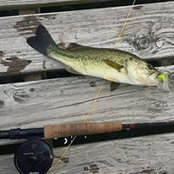Timothy Stidham's photo