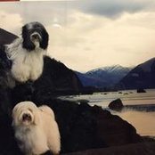Barbara Callahan's photo