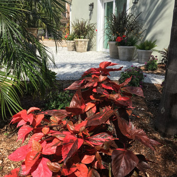 Extra large lot, reborn after a fire