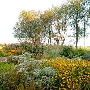 Design ideas for a rustic backyard landscaping in Philadelphia.