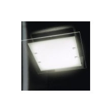 lights flush mount