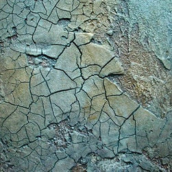 Metallic Cracked Plaster - Products