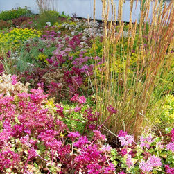 Omni Green Roof - Products
