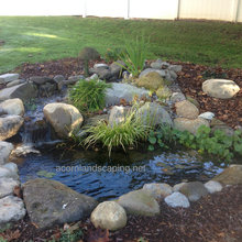 koi pond