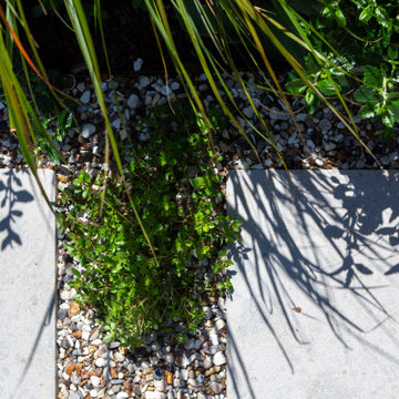 Thyme and Limestone.