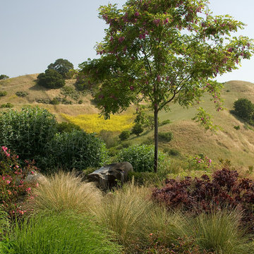 Embracing the Landscape