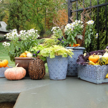 Container Gardens