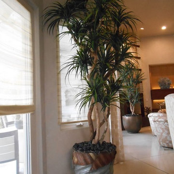 Trees By Botanical Elegance