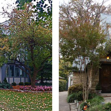 Maintaining Architectural Accuracy