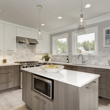 Contemporary Renovation in D.C.
