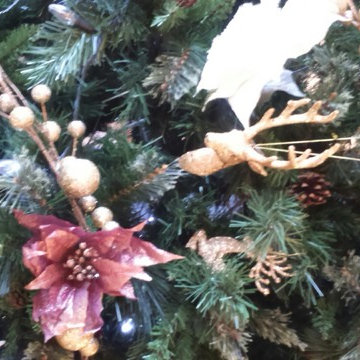 Christmas Trees - Commercial and Residental