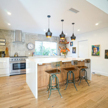 Modern Home Remodel - Los Angeles