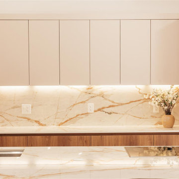 Transforming Miami Kitchens: Bespoke Renovation Mastery by D’Cassa