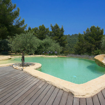Piscine nature