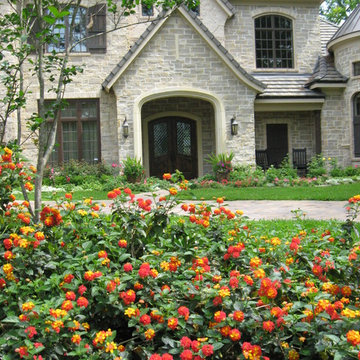 New Construction Landscape May 2009