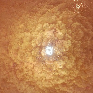 Reflective Epoxy concrete Treatments