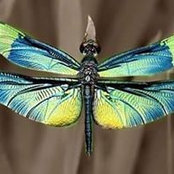 Barbara Sims's photo