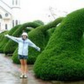 Emily McComb's photo