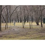 Olga Pavluk's photo