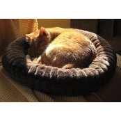 Harold Helgeson's photo