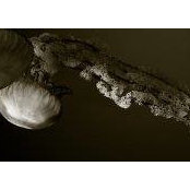 Dan Gendron's photo