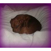 Vikki Aytes's photo
