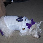 Linda D. Glasmyer's photo