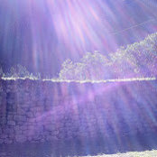 Foto von Dub M