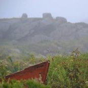 Janine McLearon's photo