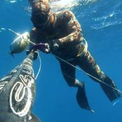 Panagiotis Antonopoulos's photo