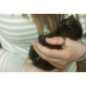 Kyla Dunham's photo