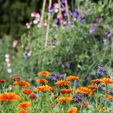 Edinburgh Ornamental Productive Garden