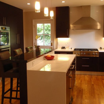 Elegant Modern Professional Kitchen